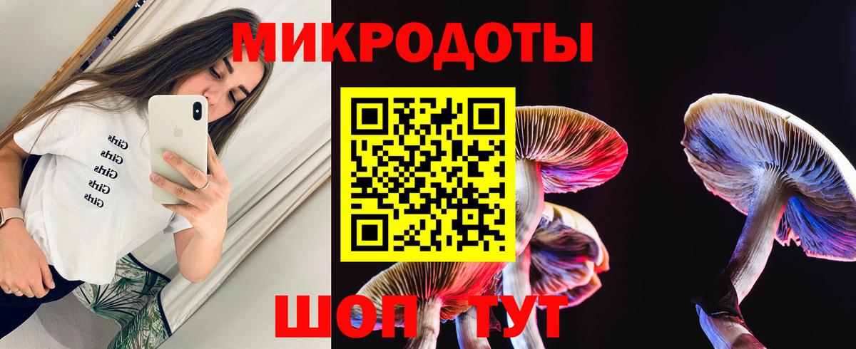 Псилоцибиновые грибы MAGIC MUSHROOMS Тавда